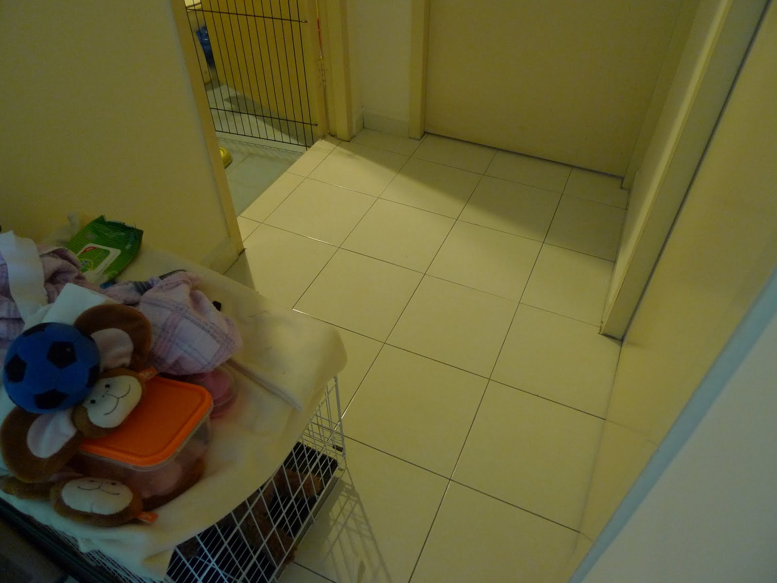 This is the play pen we set up, we feed her in the crate and placed ...