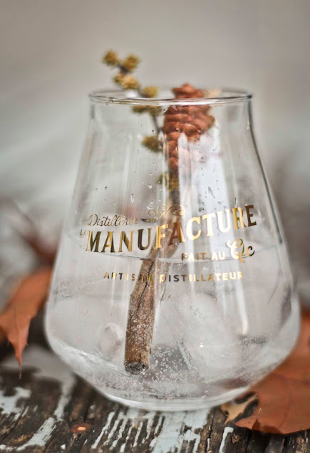 Gin-panacee,gin-quebecois,madame-gin,madame-gin-blog,la-manufacture