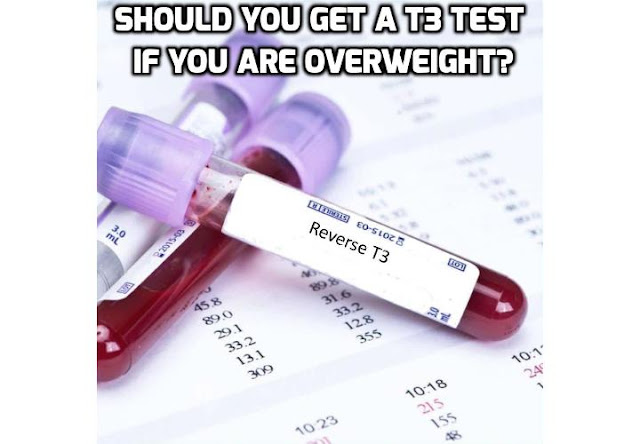 A single T3 test of your T3 level therefore provides the best clue as to how your thyroid is working. If you are finding it hard to lose weight it is a good idea to discuss doing a free T3 test with your health practitioner.