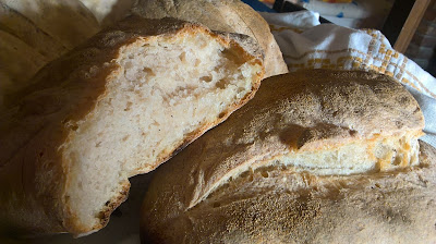 pane con semola di grano duro Senatore Cappelli 2