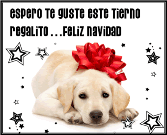 Imagenes de feliz navidad con frases de amor, mensajes 2017