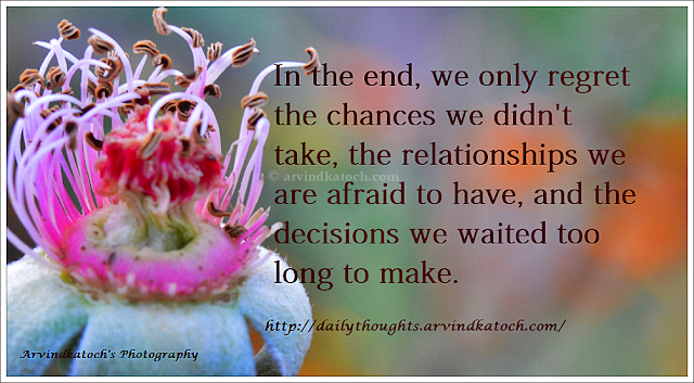Regret, chance, Relationship, afraid, decision, Daily Thought, Daily Quote