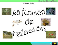 https://cplosangeles.educarex.es/web/edilim/curso_3/cmedio/los_seres_vivos_3/la_relacion/la_relacion.html