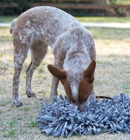 A totally different kind of puzzle toy that looks like a shag carpet