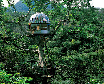 Tree House Image