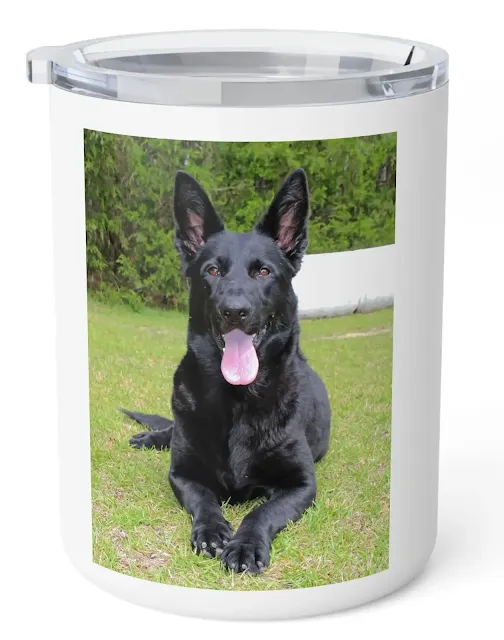 Insulated Stainless Steel Coffee Mug With Huge European Solid Black Female German Shepherd Resting On The Grass