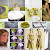 {Homespun Elegance}: Chartreuse, Gray & White