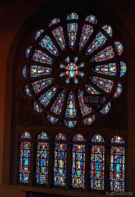 16. rose window-kab