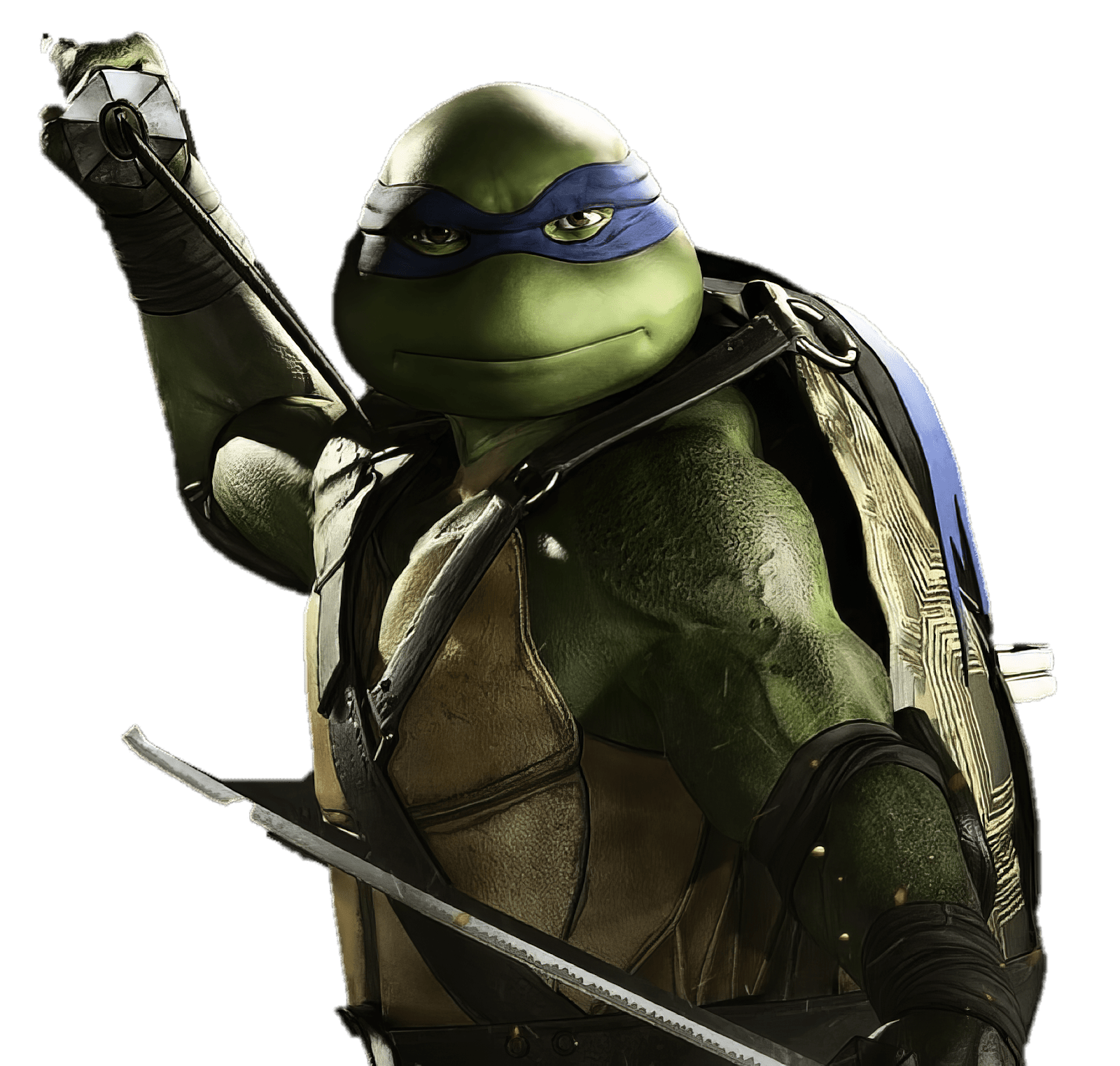透明な背景のlas tortugas ninjaの大きな画像（png形式）