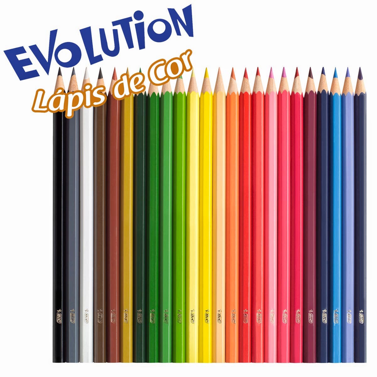 Lapis Cor Bic Evolution Color 24cores 1x1