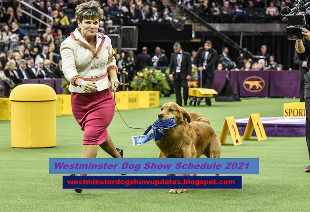 Westminster Dog Show Schedule 2021 Live