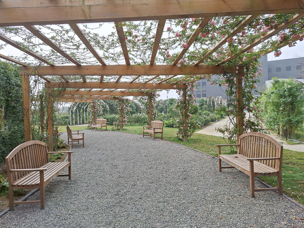 台南後壁雅聞湖濱療癒森林15000坪玫瑰花園、熱帶雨林免費參觀