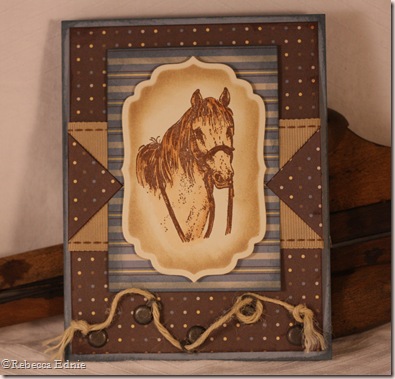 cream coloured ponies
