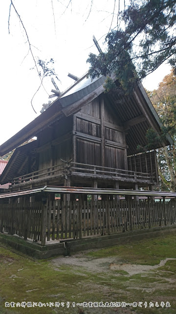 能義神社　本殿裏