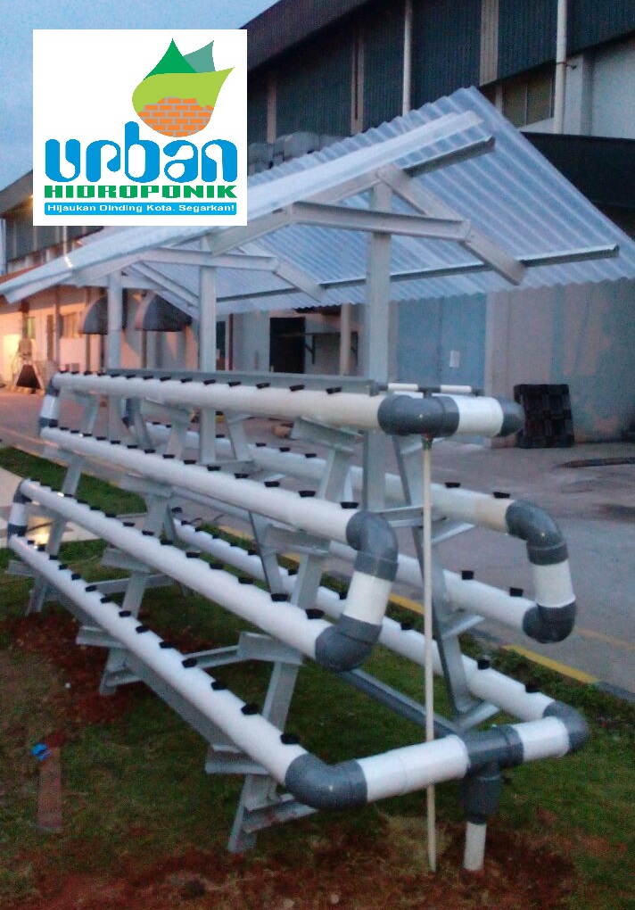 Instalasi Hidroponik NFT DFT Portable Baja Ringan PVC 2 5 