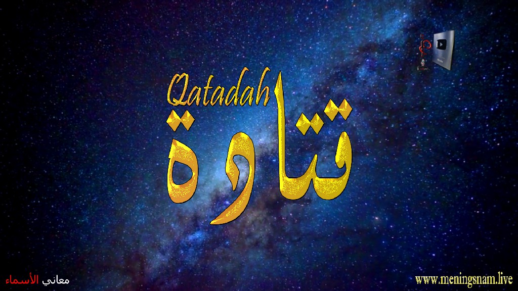 معنى اسم, قتادة, وصفات, حامل, هذا الاسم, Qatadah,