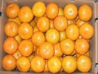 Mandarin oranges more expensive this year