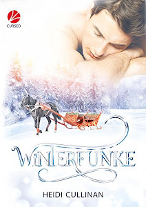 Winterfunke (Minnesota Christmas 2)