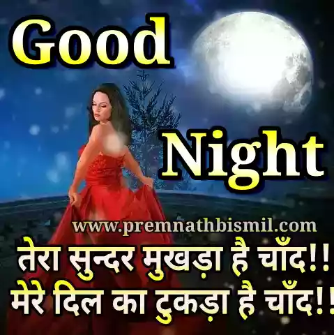 शुभ रात्रि सुविचार - गुड नाईट शायरी Good Night Shayari Photo