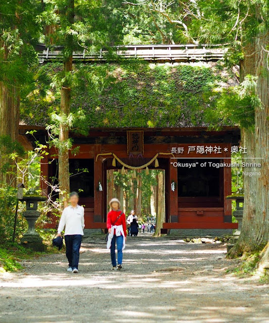 戸隠神社：奥社 随神門