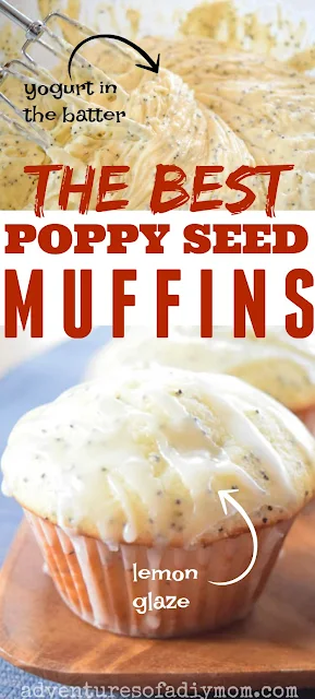 poppy seed muffin collage