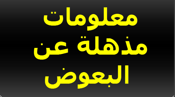 أسرار مذهلة عن البعوض