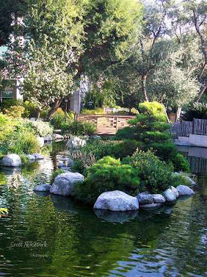 japanese garden pond