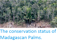 https://sciencythoughts.blogspot.com/2014/10/the-conservation-status-of-madagascan.html