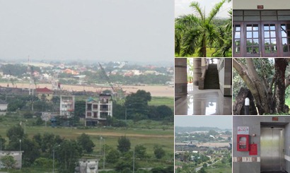 View album