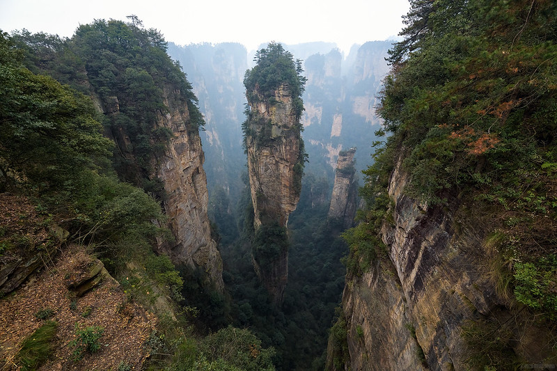 zhangjiajie national forest park; zhangjiajie china; avatar mountains china; zhangjiajie, china; zhangjiajie national forest park china; zhangjiajie national forest park, china; zhangjiajie national park; zhangjiajie mountains; avatar floating mountains; avatar hallelujah mountain; avatar mountains; zhangjiajie avatar; china floating mountains; avatar china; avatar mountains in china; avatar mountains in china; china national park zhangjiajie; china mountains avatar;