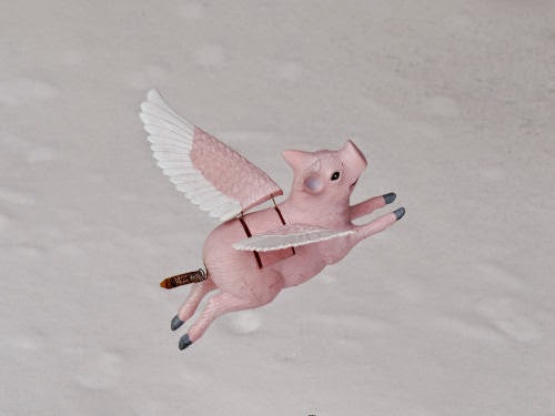 flying pig