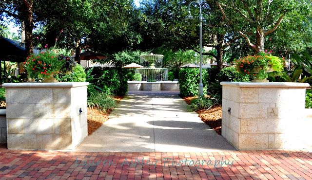 Pathway to the Fountain