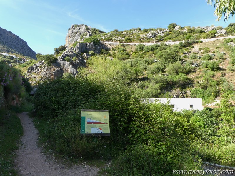 Estación de Cortes - Estación de Benaoján por el sendero del río Guadiaro