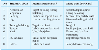 Perbedaan Antara Manusia (Hominidae) dan Orang Utan (Pongidae)