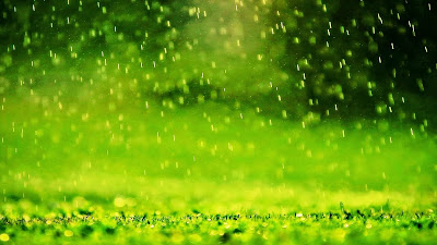 Green rain free download desktop wallpaper