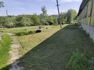 Lots of lawn that was mowed