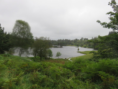 Lake with trees