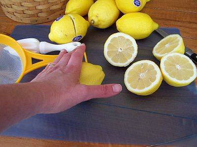 Prepare the Lemons