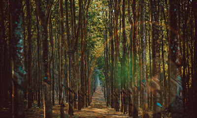 Ville Gia Lai montagnes majestueuses dans mes yeux 