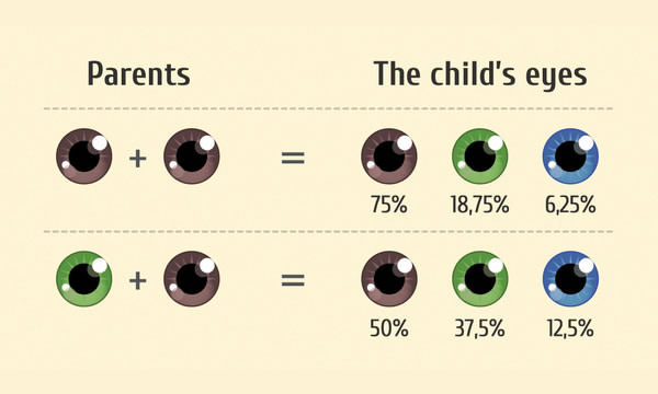 Do You Wish To Know What Your Kids Will Look Like? This Can Help You!