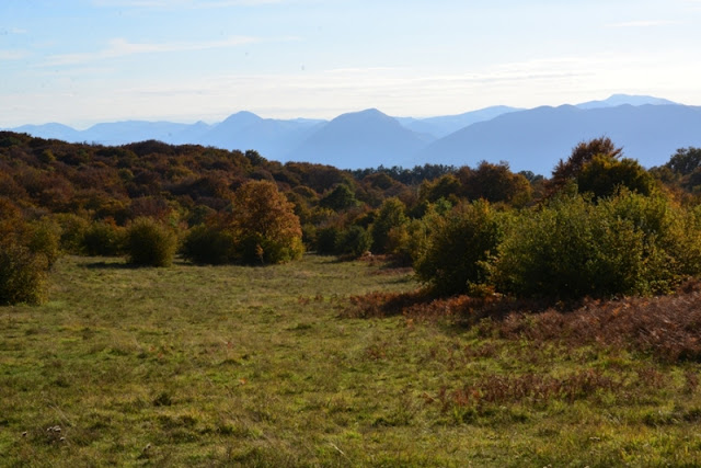 FAGGETA DI CANFAITO