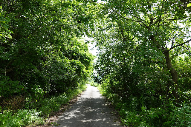 鳥取県米子市淀江町本宮