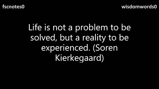 Life is not a problem to be solved, but a reality to be experienced. (Soren Kierkegaard)