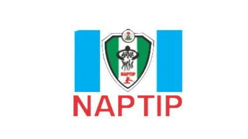 Men now becoming victims of domestic violence – NAPTIP