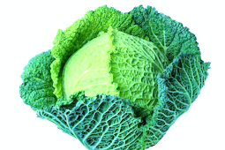 WHY IS IT IMPORTANT TO EAT CABBAGE?  NEW HEALTH BENEFITS OF CABBAGE.