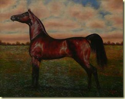 Tapia_152955 Hamad Arabian 24x30