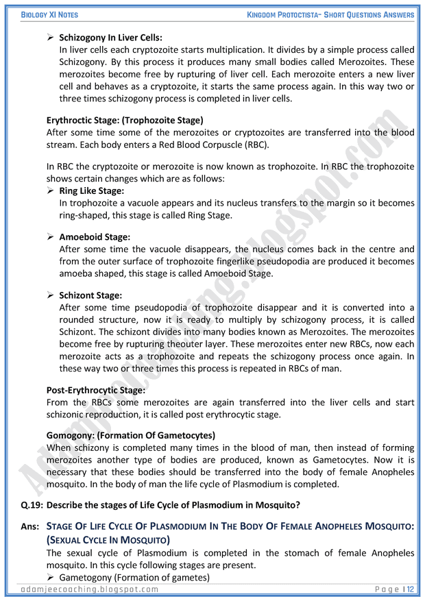 kingdom-protista-protoctista-short-question-answers-biology-11th