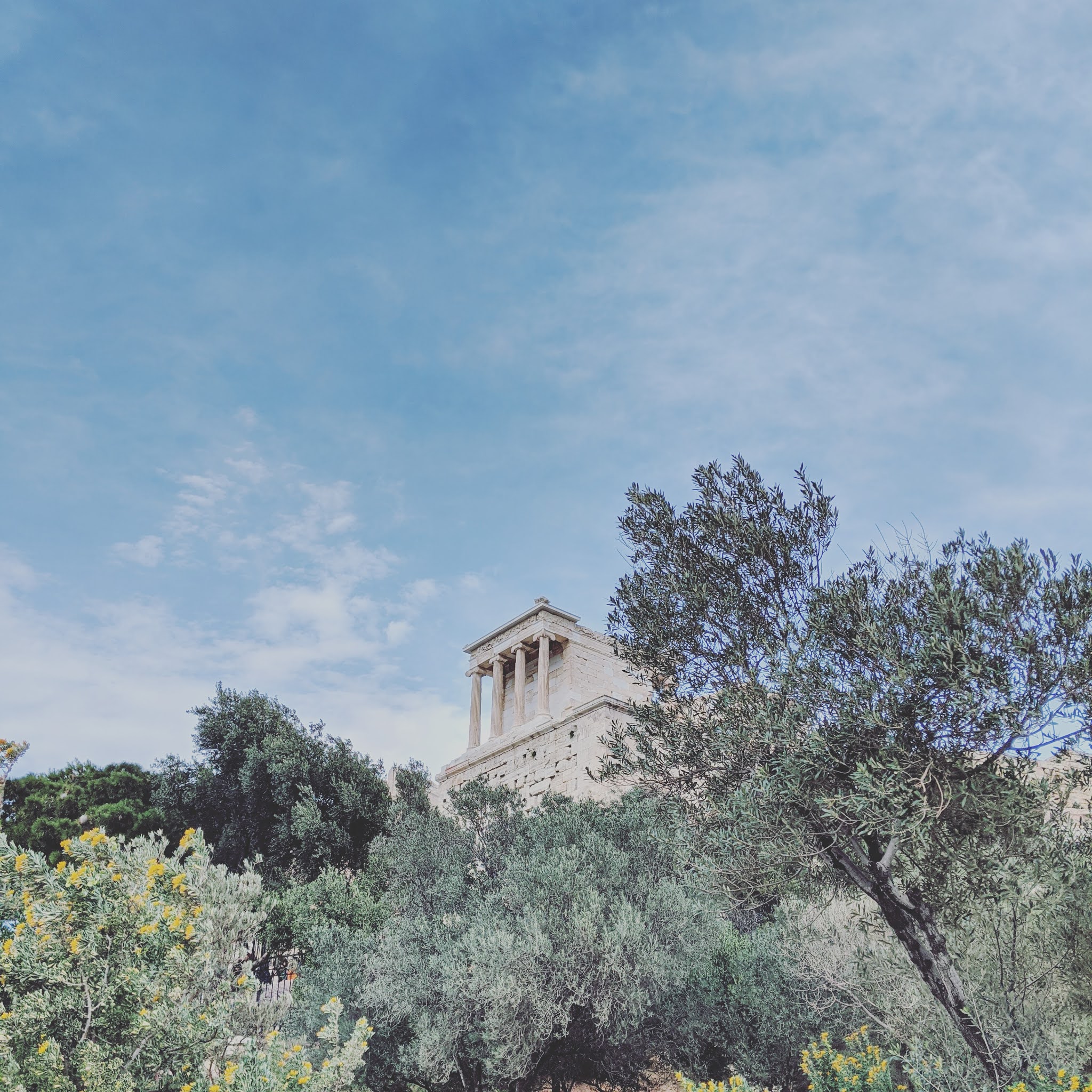 An ancient temple surrounded by olives trees against a blue sky backdrop in the acropolis in athens, Greece