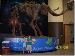 Burpee Mammoth