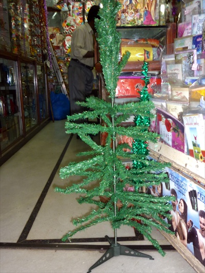 My Maharashtra Where to buy a Christmas  tree in Mumbai 
